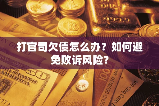 北京打官司欠债怎么办？如何避免败诉风险？