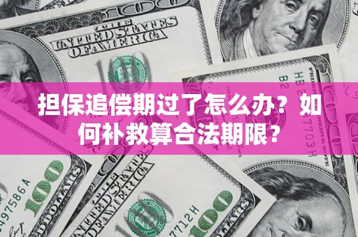 北京担保追偿期过了怎么办？如何补救算合法期限？