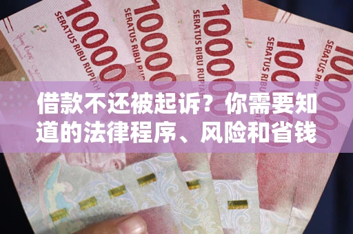 北京借款不还被起诉？你需要知道的法律程序、风险和省钱技巧